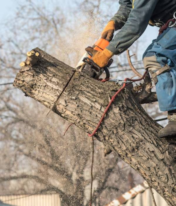 Arborist