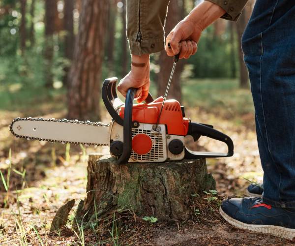 Arborist