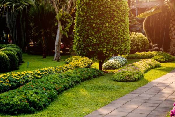 Garden Landscaping