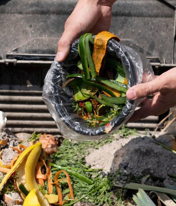 Green Waste Removal