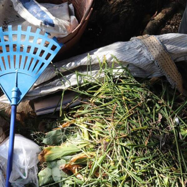 Green Waste Removal