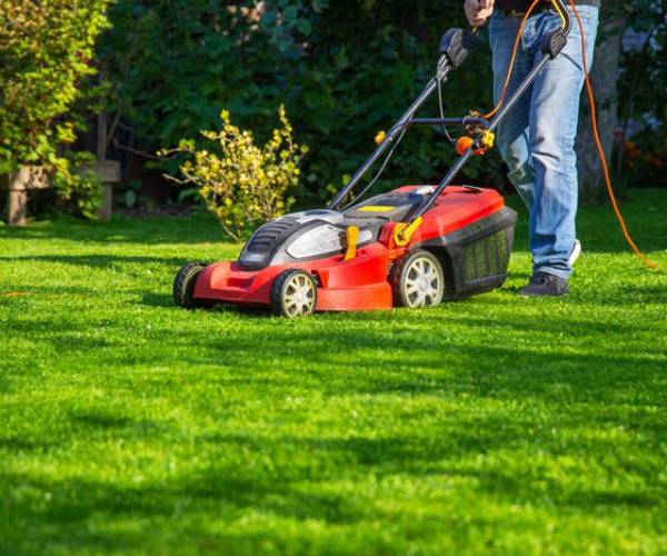 Lawn Maintenance