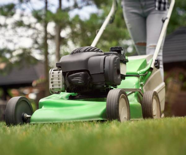 Lawn Maintenance