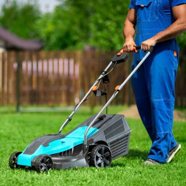 Lawn Maintenance