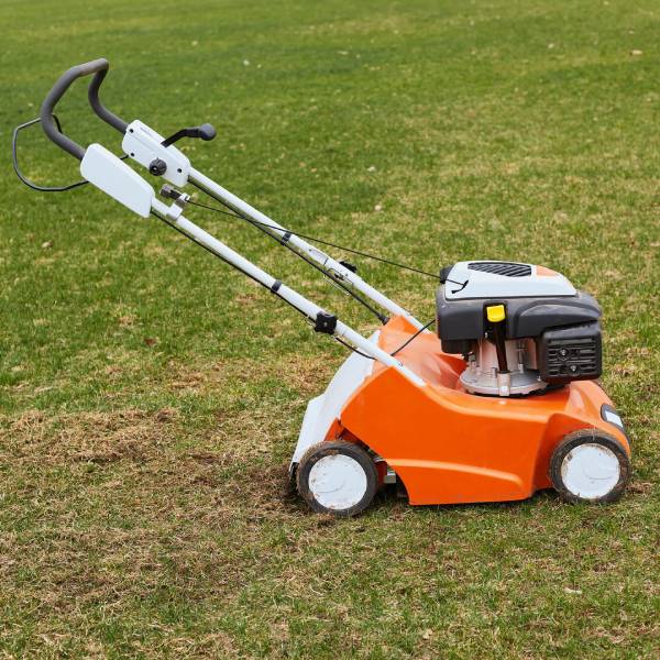 Lawn Mowing