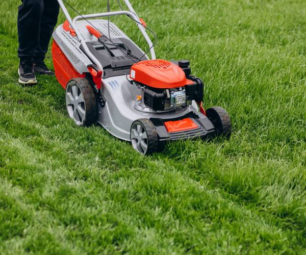 Lawn Mowing