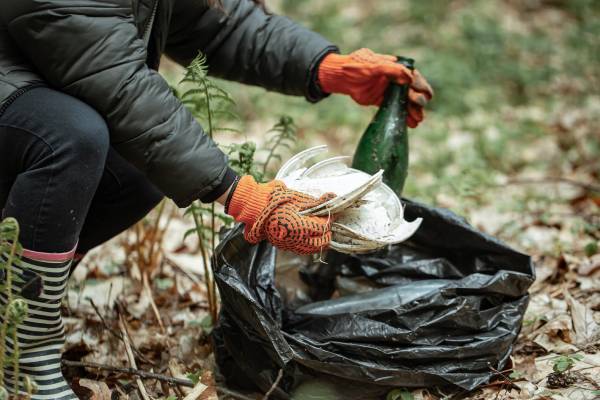 Rubbish Removal