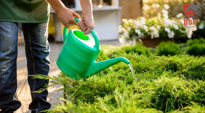How Sydney’s Water Restrictions Are Reshaping Garden Maintenance?